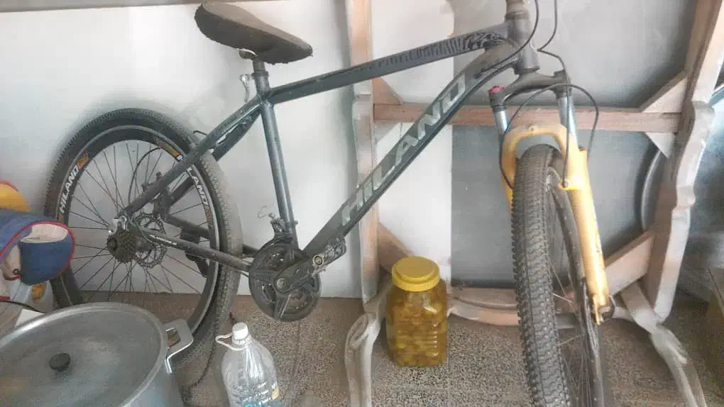 دوچرخه ۲۹|دوچرخه، اسکیت، اسکوتر|شیراز, درکی|دیوار