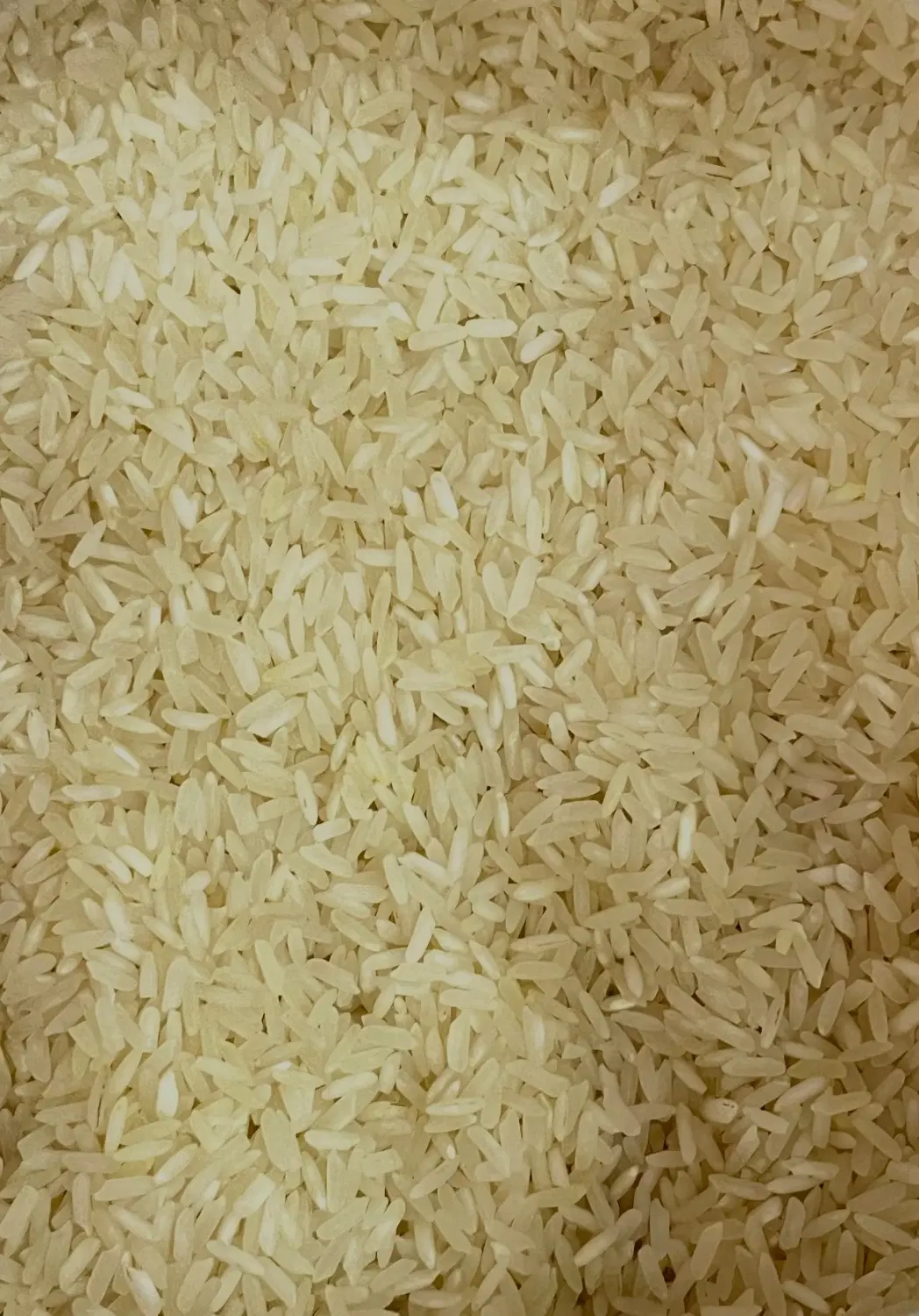 برنج|خوردنی و آشامیدنی|نجف‌آباد, یزدانشهر|دیوار