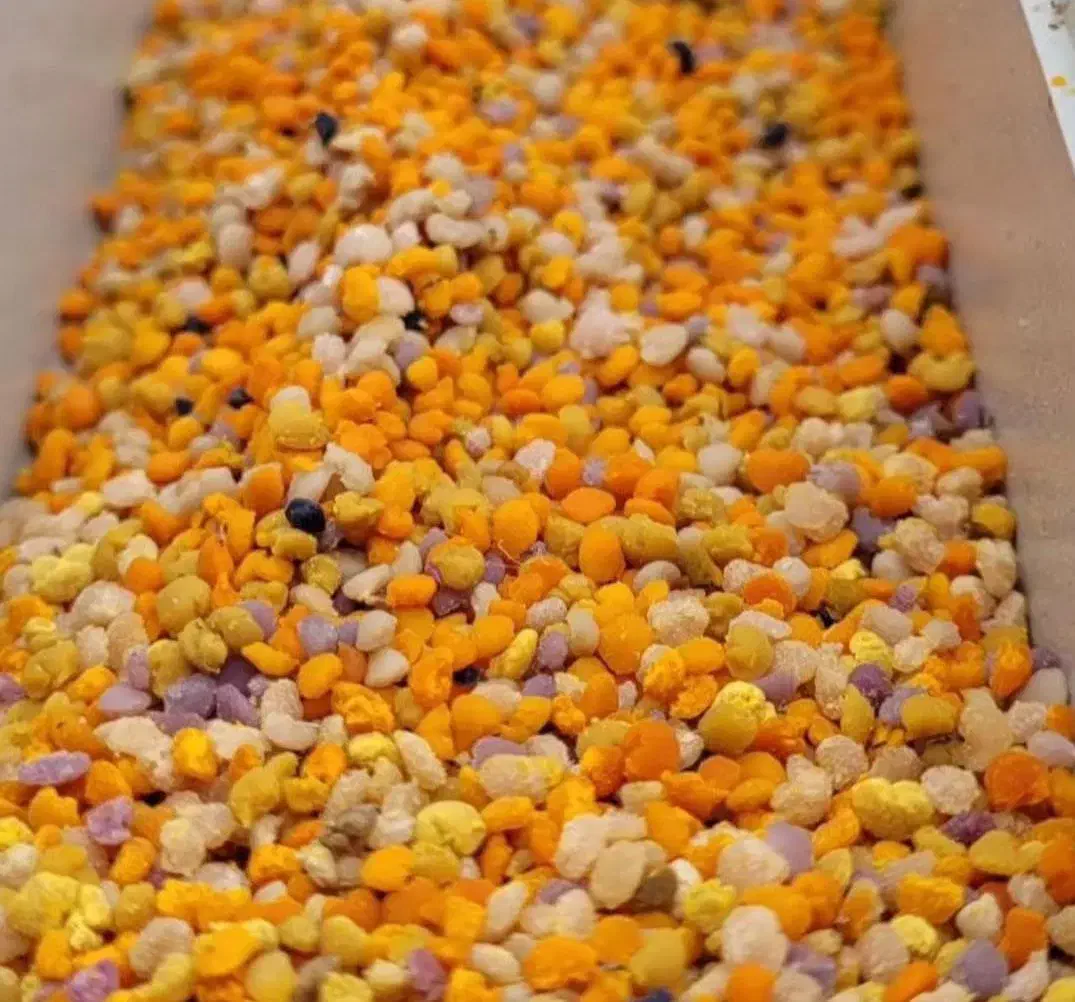 سردی مفاصل رماتیسم|خوردنی و آشامیدنی|تهران, یافت آباد شمالی|دیوار