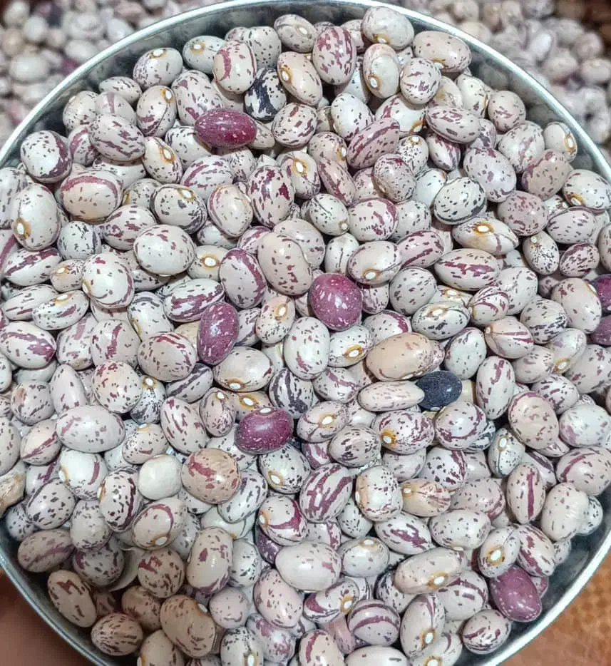 فروش|خوردنی و آشامیدنی|اندیمشک, |دیوار