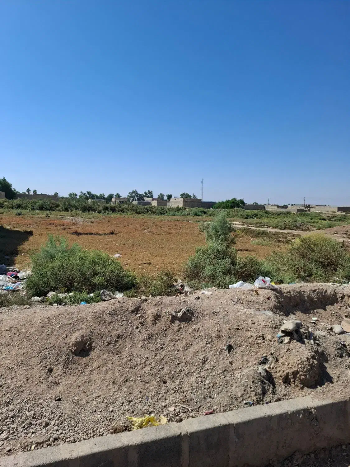 فروش زمین ۲۵۰ متر|فروش زمین و ملک کلنگی|سوسنگرد, |دیوار