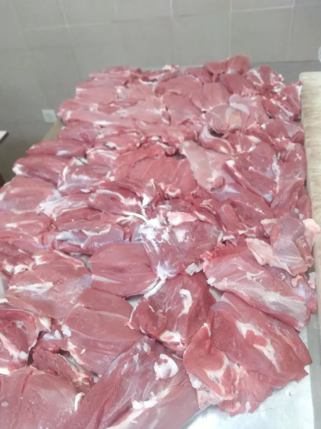 فروش عمده و جزیی گوشت بره.گوساله و گوسفندی|عمده‌فروشی|اصفهان, دشتستان|دیوار