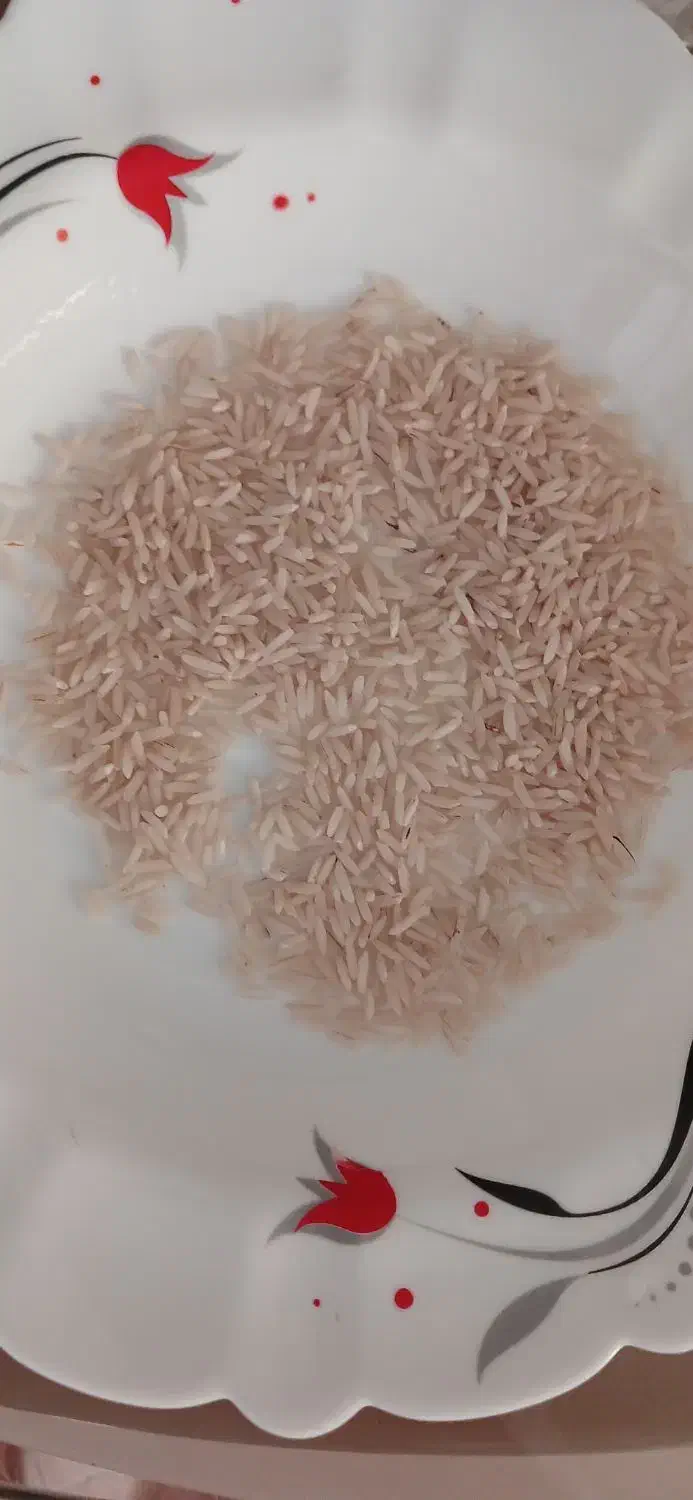 برنج هاشمی|خوردنی و آشامیدنی|رشت, کوی مهر|دیوار