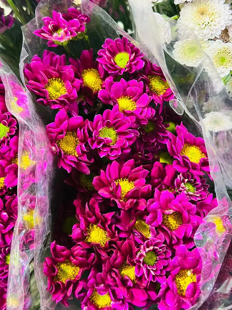 گلجهتحجاجوکربلاییهایعزیز|گل مصنوعی|بیرجند, |دیوار