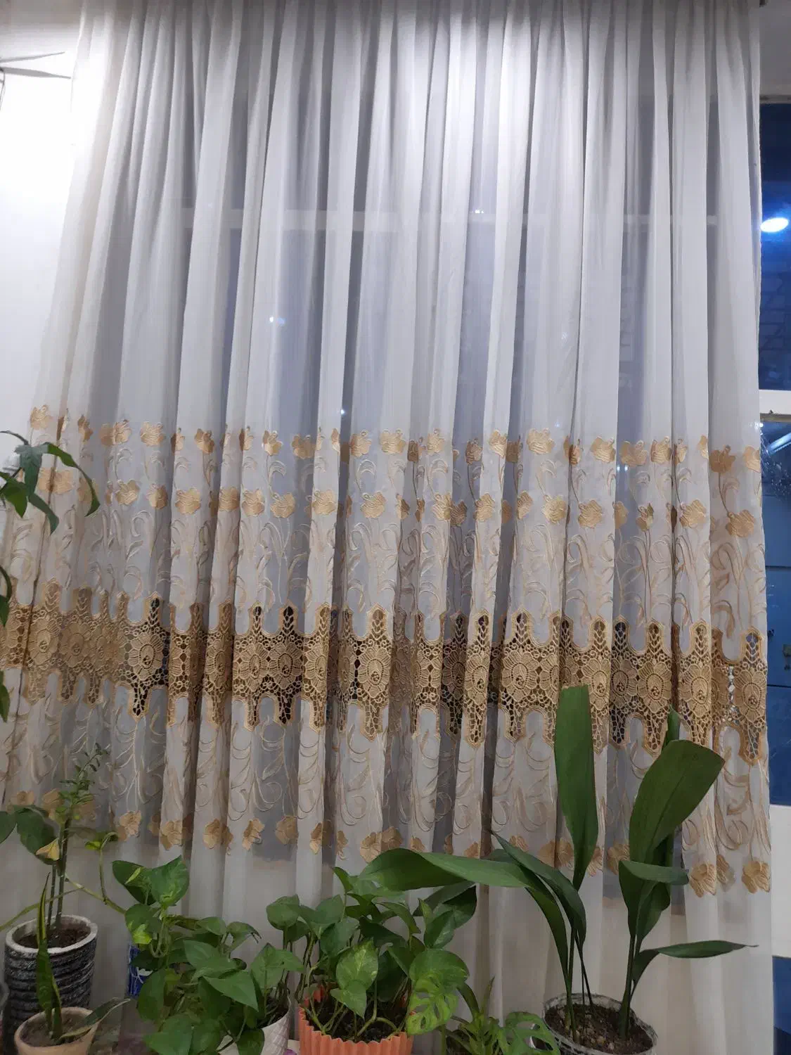 پرده پذیرای|پرده، رانر، رومیزی|اهواز, شریعتی جنوبی|دیوار