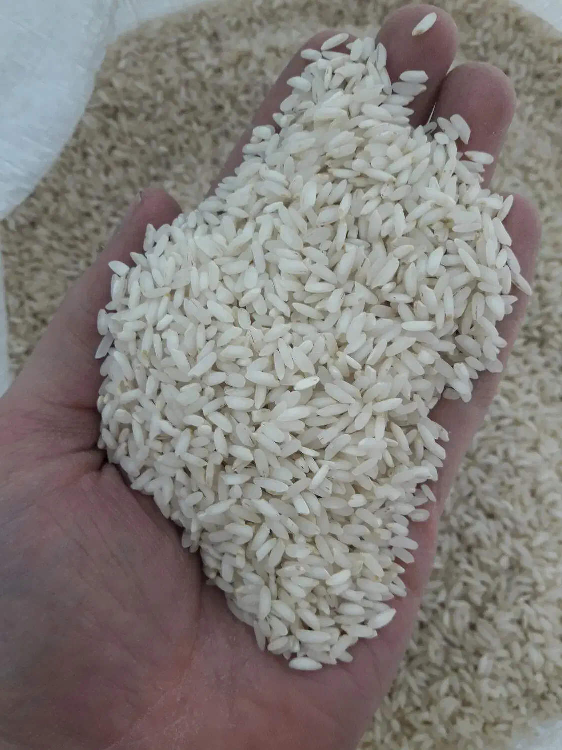 برنج عنبربو|خوردنی و آشامیدنی|رباطکریم, نصیرشهر|دیوار