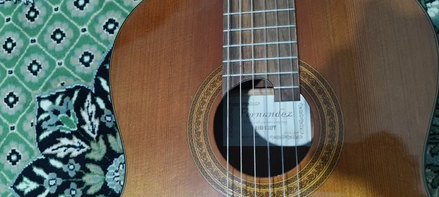 گیتار فرناندز|گیتار، بیس، امپلیفایر|یزد, |دیوار