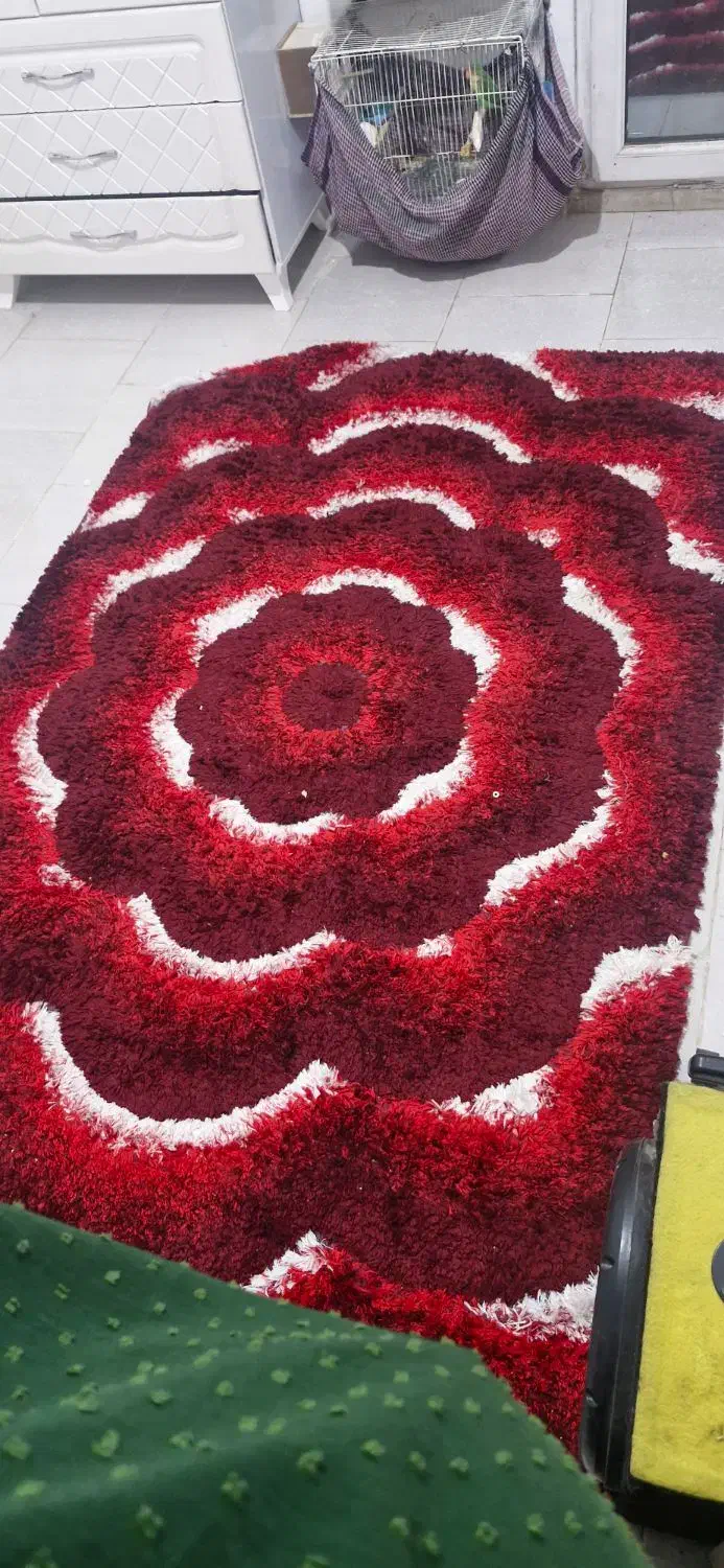 فرش اتاق یا اشپزخانه|فرش|پیشوا, |دیوار