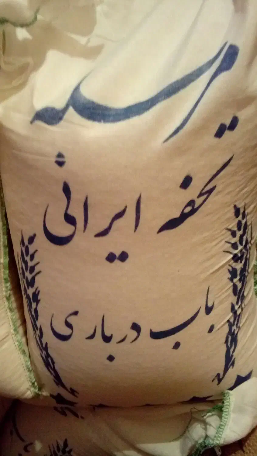 ایرانی باب درباری|خوردنی و آشامیدنی|گوگان, |دیوار