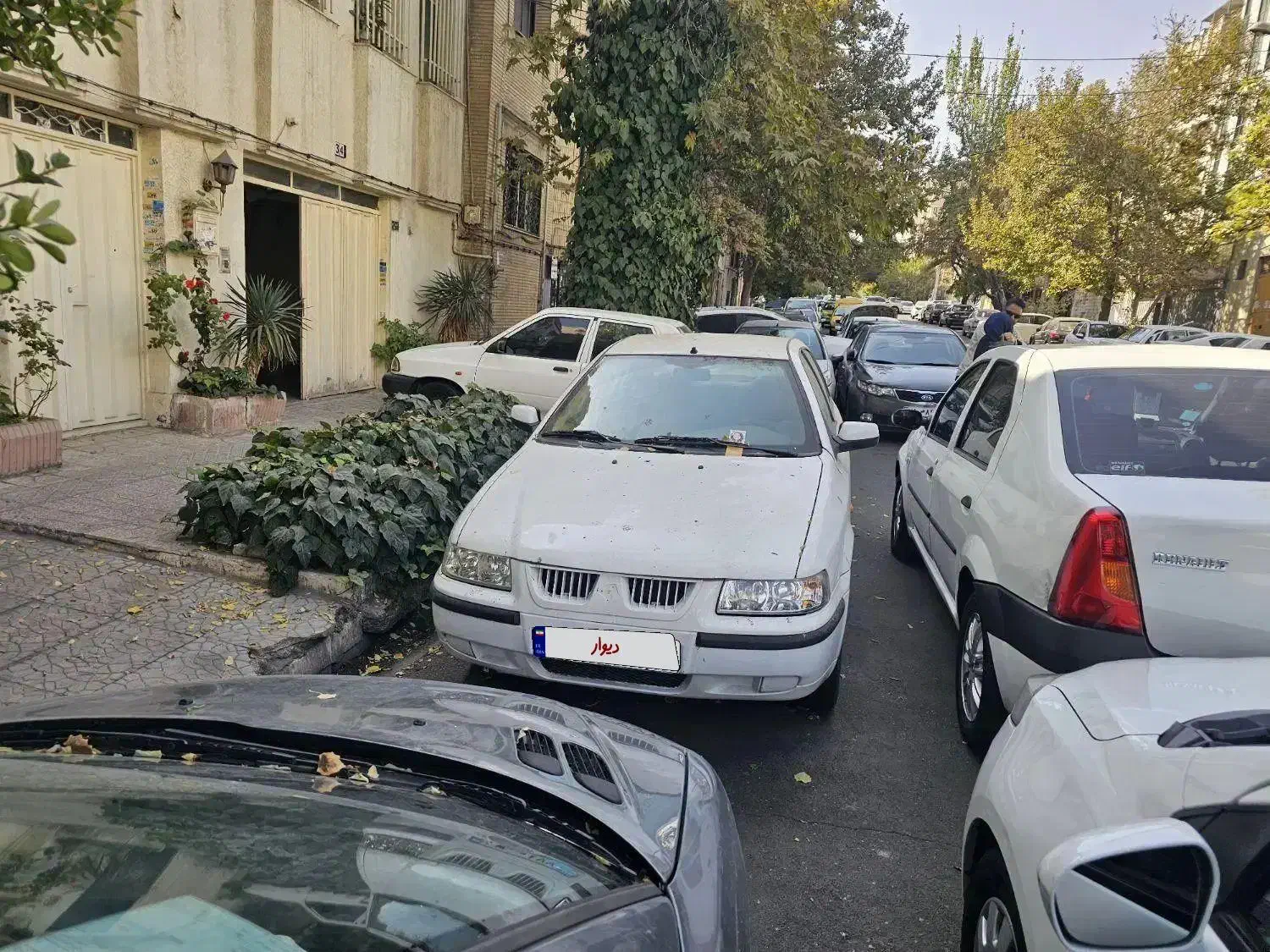 سمند se مدل ۹۱|خودرو سواری و وانت|تهران, دریا|دیوار