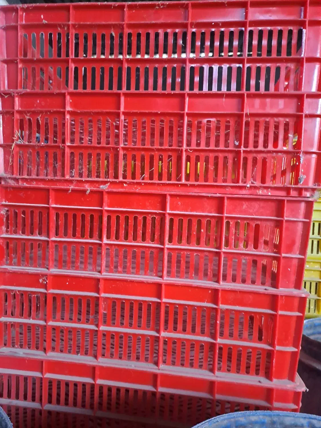 جعبه لاکی|عمدهفروشی|گمیشان, |دیوار