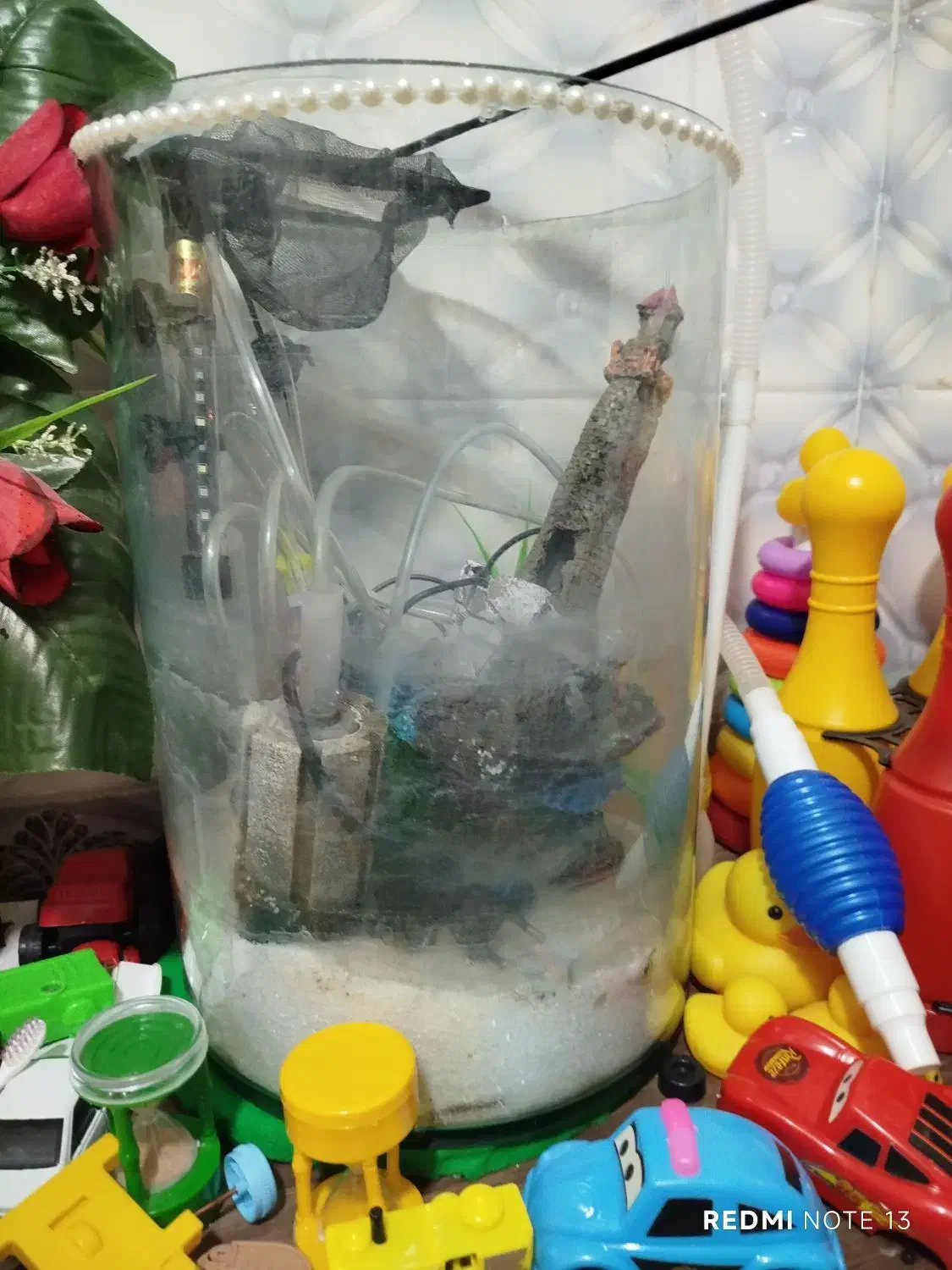 آکواریوم استوانه ای فروش فوری بدلیل کمبودجا|ماهی|کنارک, |دیوار