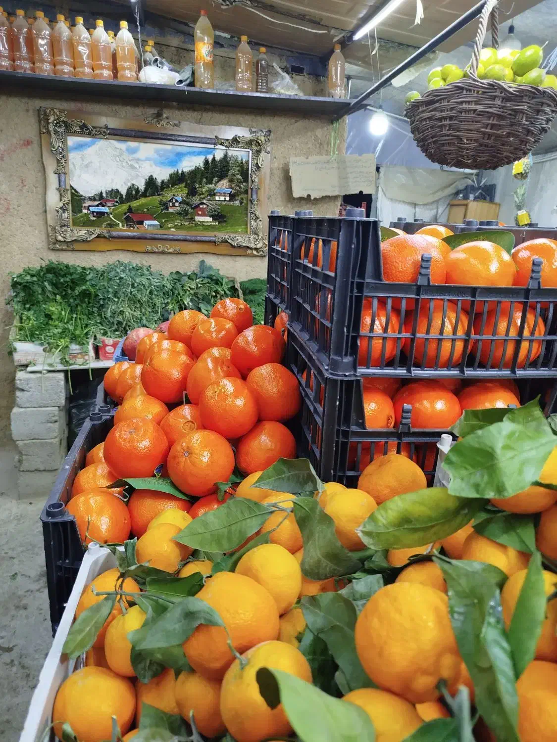 نیازمند فروشنده برای مغازه میوه فروشی|استخدام بازاریابی و فروش|نجفآباد, شریعتی|دیوار