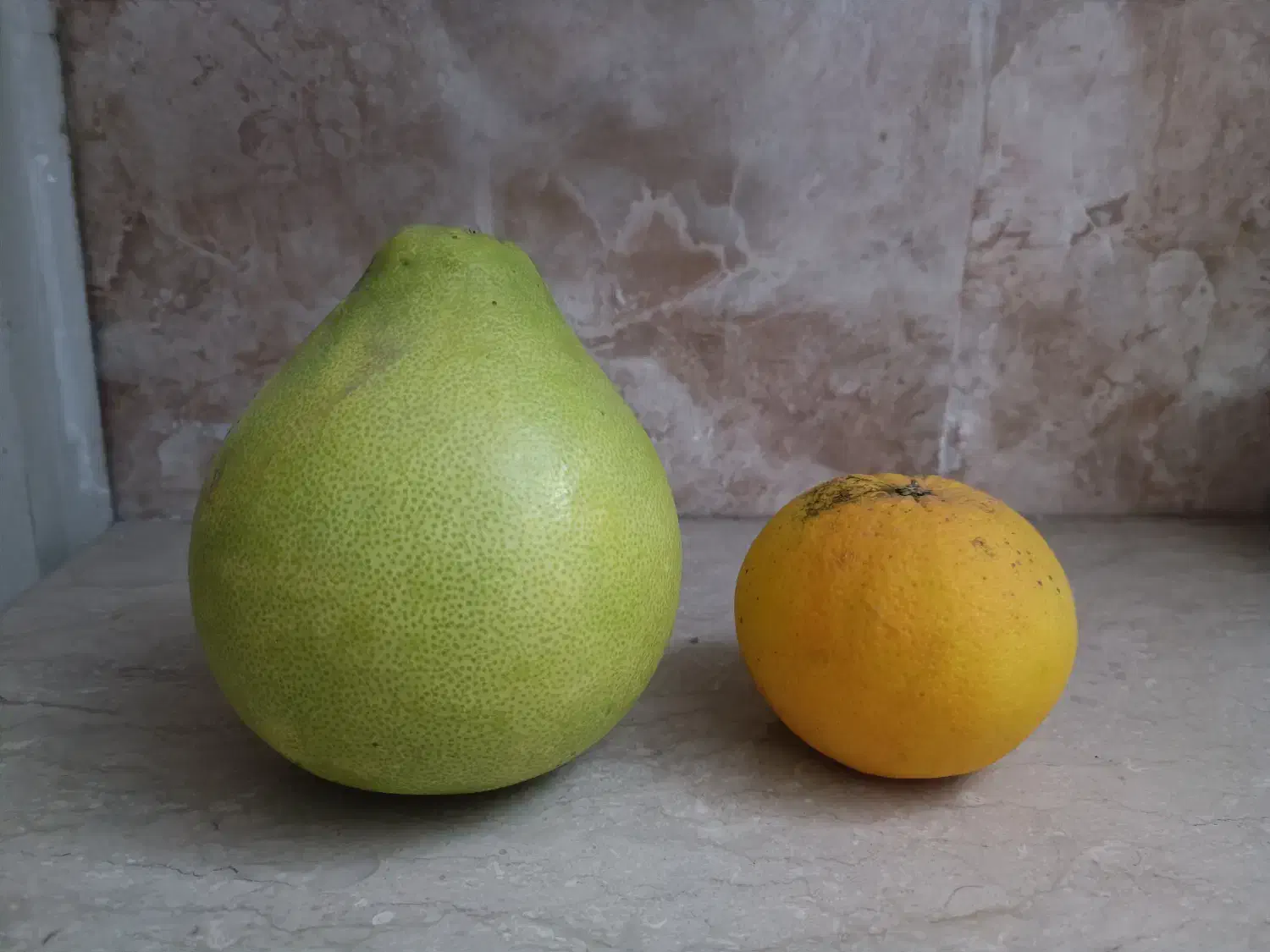 سلطان مرکبات ، پاملو ، دارابی|خوردنی و آشامیدنی|قائم‌شهر, |دیوار