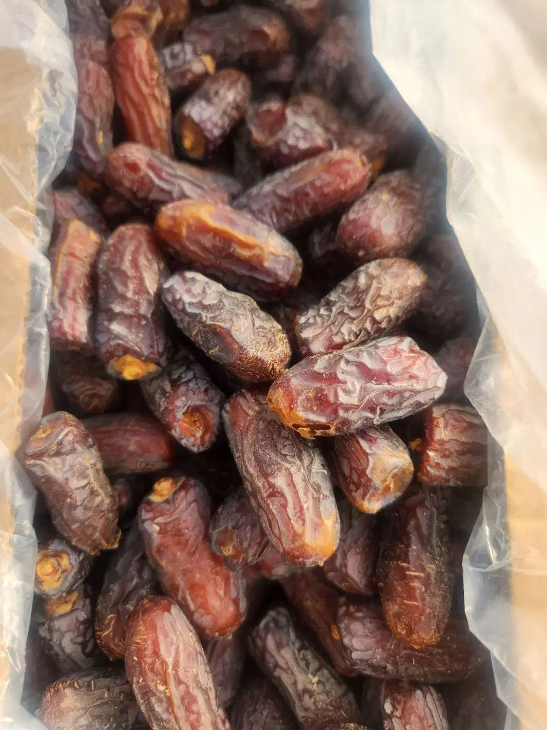 خرما زاهدی / خرما پیاروم / کشمش|عمده‌فروشی|تهران, هرندی|دیوار