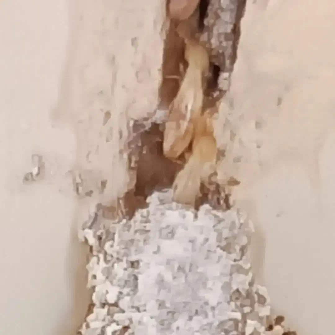 سمپاشی و از بین بردن کامل موریانه‌ها و ساس 100%|خدمات نظافت|رامهرمز, |دیوار