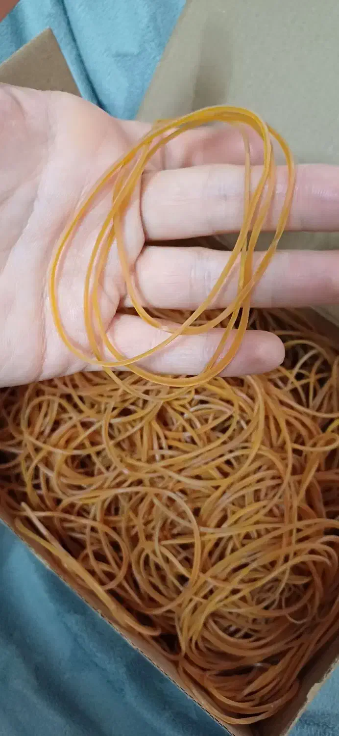 مقداری کش پول|لوازم التحریر|قم, نخودی|دیوار