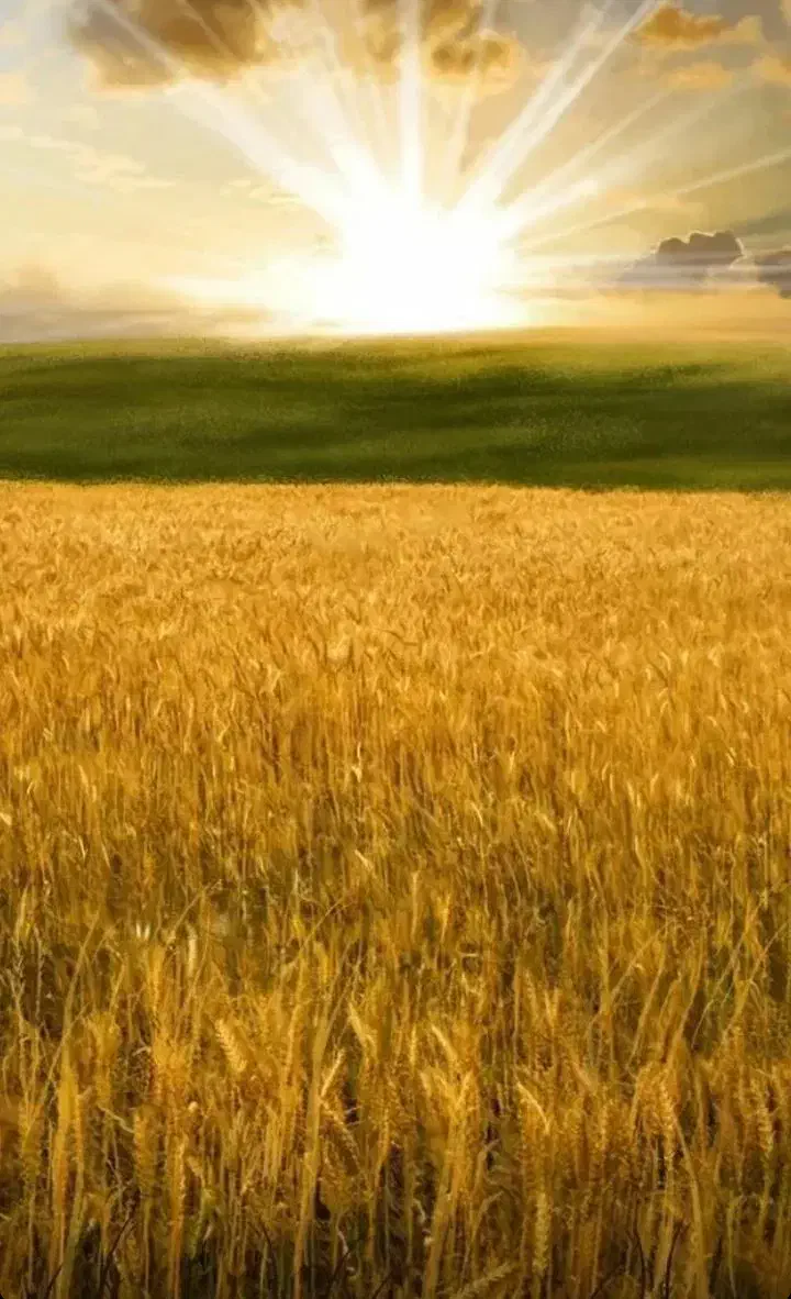 کار آنلاین|استخدام رایانه و فناوری اطلاعات|جیرفت, |دیوار