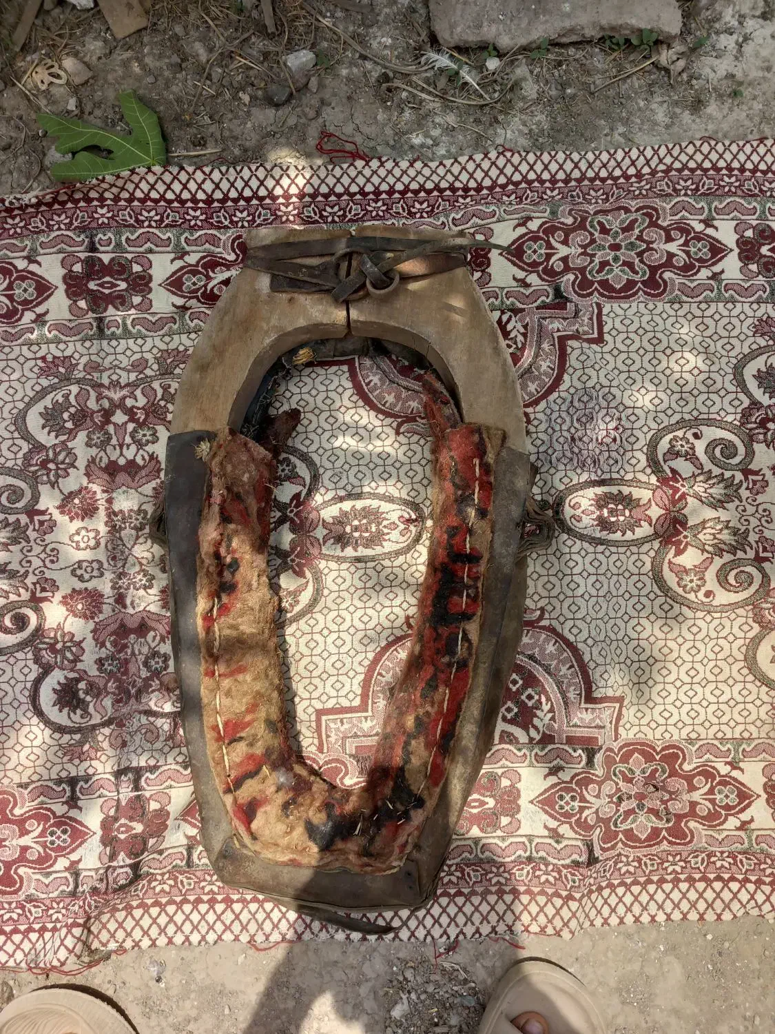 گردنی اسب|اسب و تجهیزات اسب‌سواری|سنگدوین, |دیوار