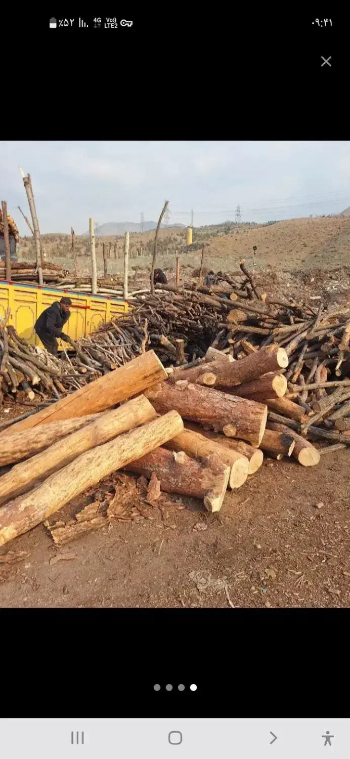 خریدار چوب|خدمات باغبانی و درختکاری|خرم‌آباد, |دیوار