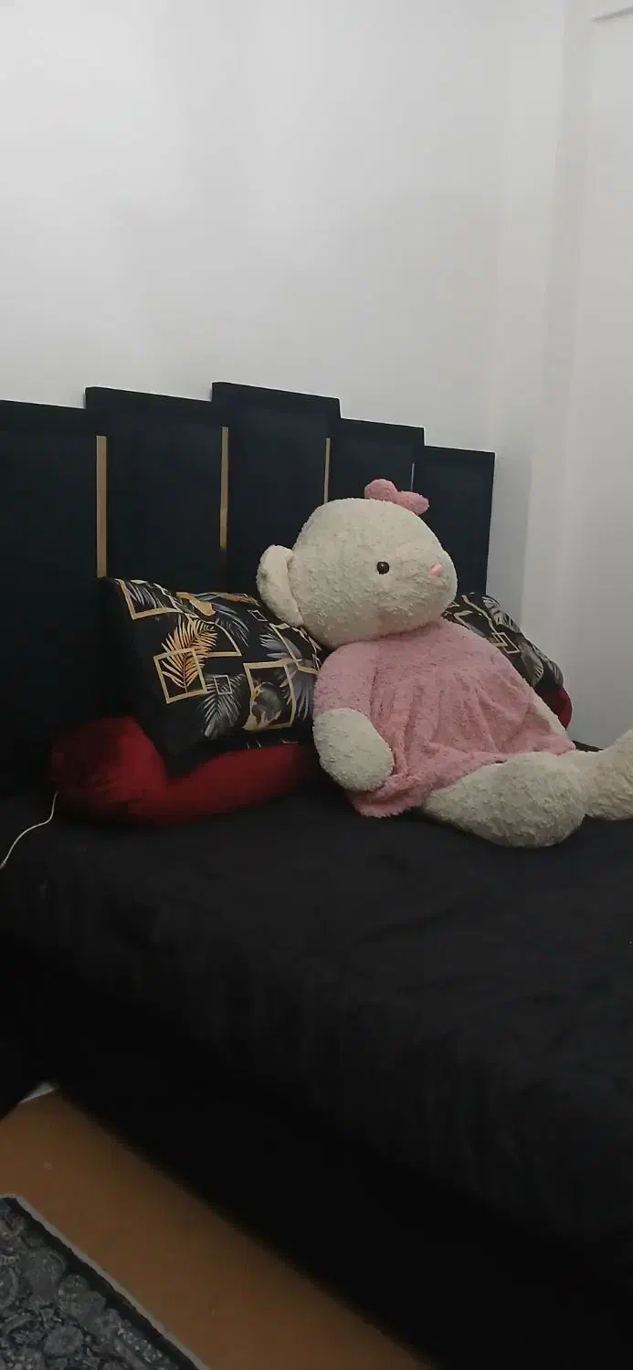 سرویس خواب مخمل|تخت و سرویس خواب|مشهد, صیاد شیرازی|دیوار