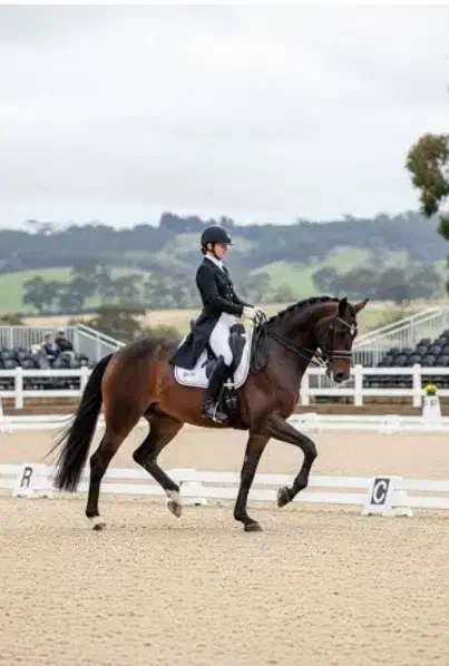 آموزش سوارکاری|خدمات آموزشی|تهران, شهرک چیتگر|دیوار