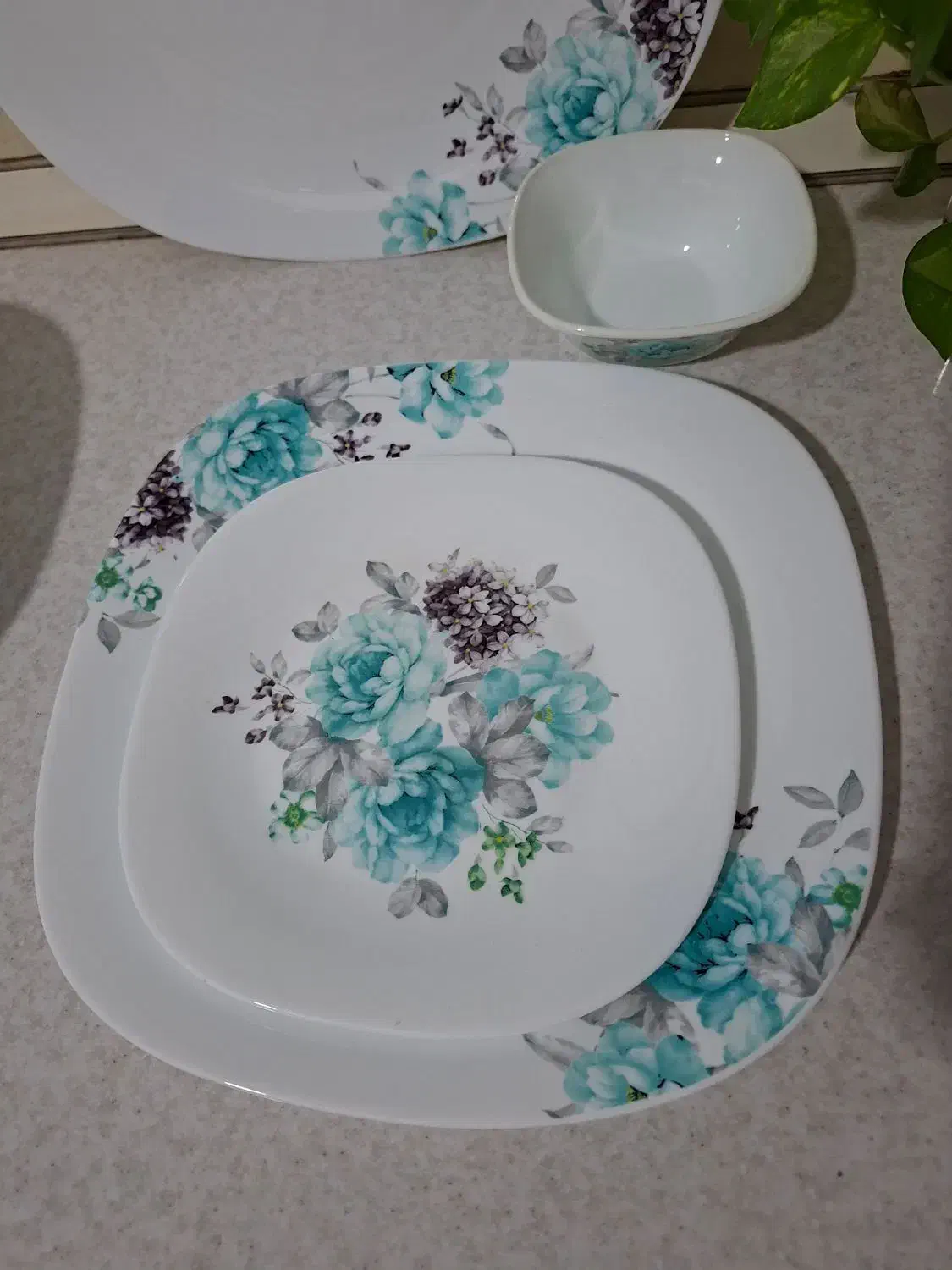 ارکوپال|ظروف سرو و پذیرایی|ابهر, |دیوار