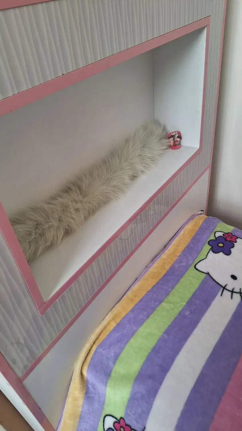 تخت نوجوان پسر و دختر|تخت و سرویس خواب|تهران, سازمان برنامه شمالی|دیوار