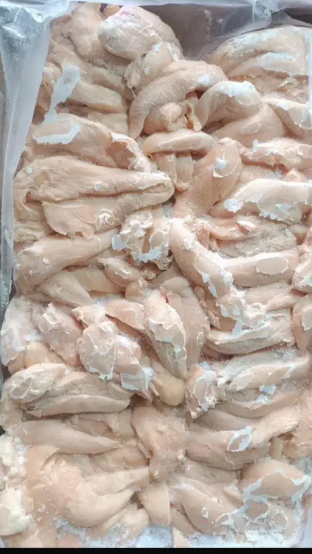 غذای سگ سکلت گردن مرغ|لوازم جانبی حیوانات|رشت, پیرکلاچای|دیوار