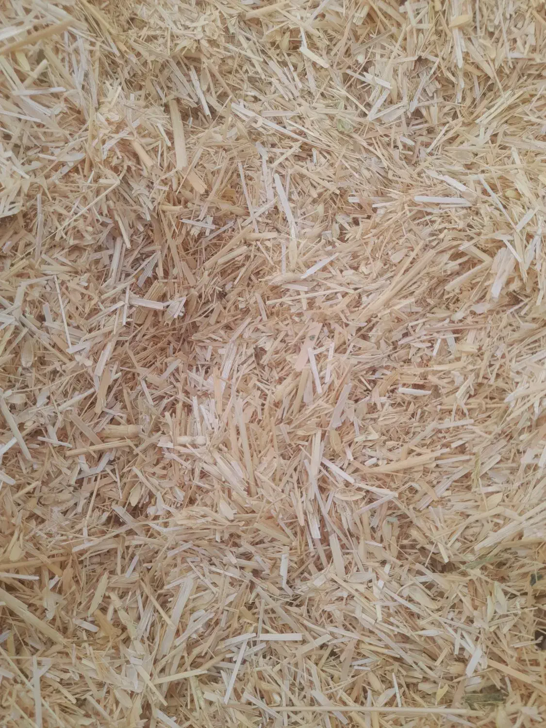 کاه نرن|لوازم جانبی حیوانات|ارزوئیه, |دیوار