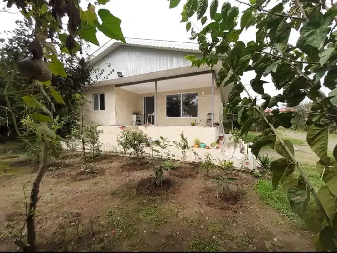 ۴۵۰۰متر خانه محوطه سندتک برگ از درختان مرکبات|فروش خانه و ویلا|کوچصفهان, |دیوار