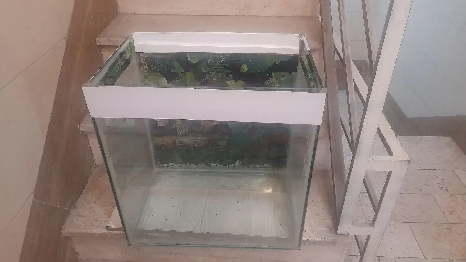 آکواریوم|ماهی|تهران, خزانه|دیوار