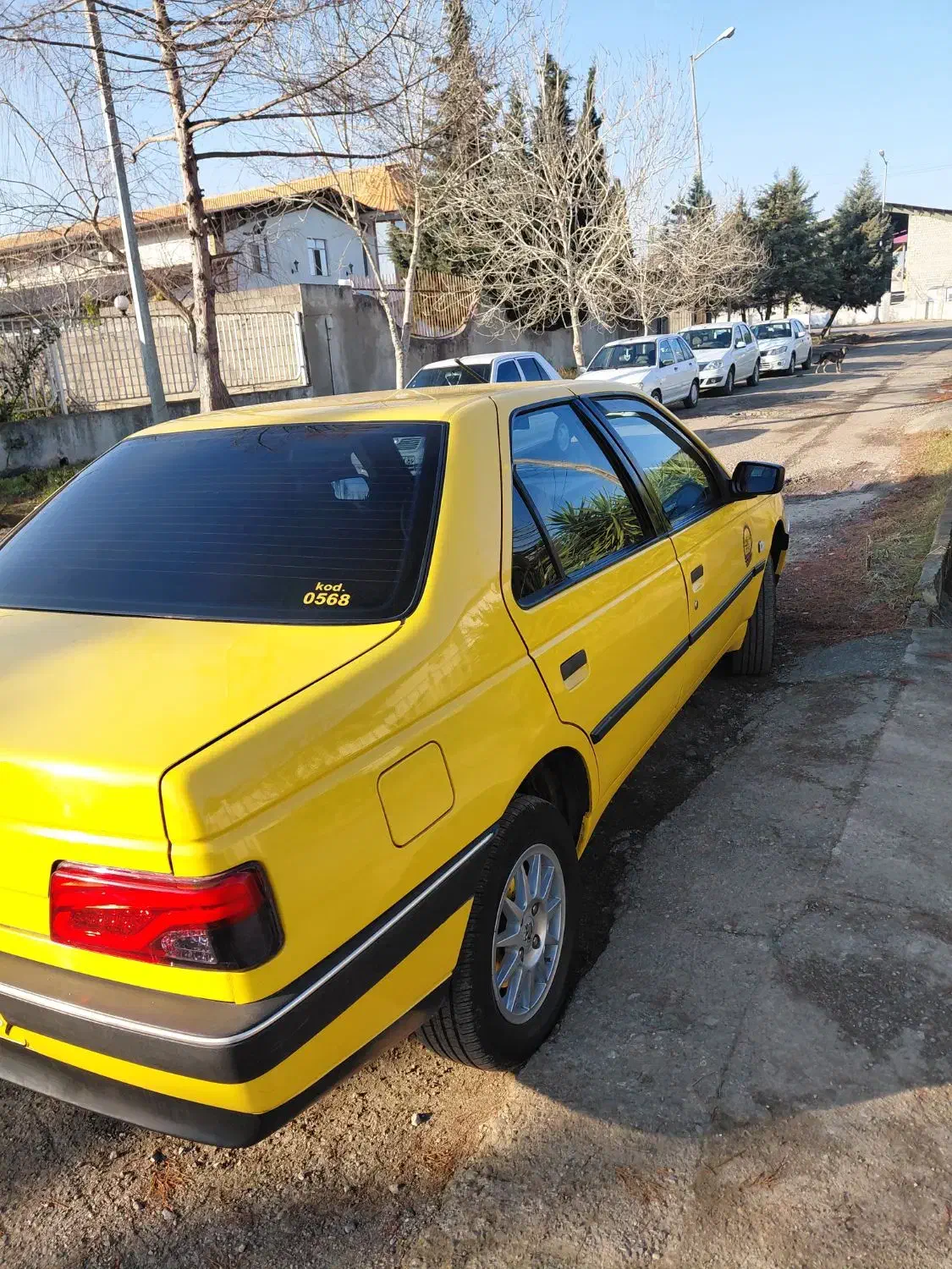 تاکسی دوگانه سوز|خودرو سواری و وانت|رشت, کاکتوس|دیوار