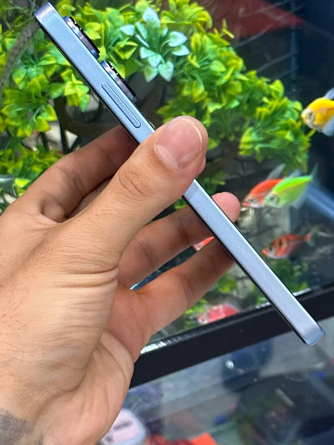 شیامی not13 256|موبایل|شیراز, زند|دیوار