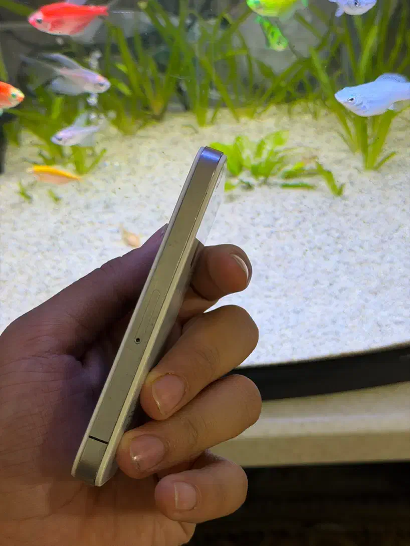 آیفون ۴ کلکسیونی|موبایل|مریوان, |دیوار