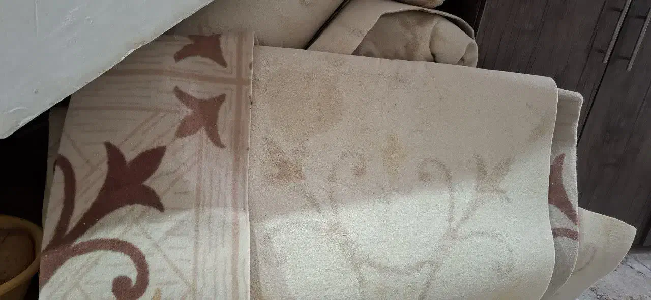 موکت سالم|موکت|قم, ولیعصر|دیوار