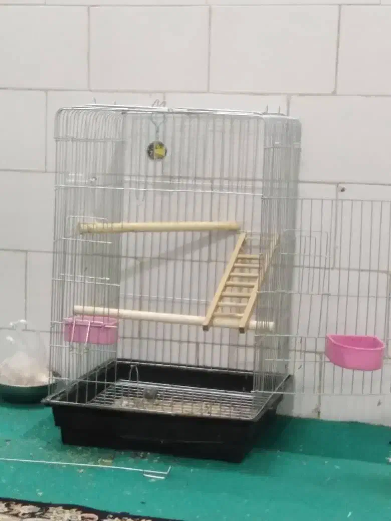 پشتی|پشتی|یزد, |دیوار