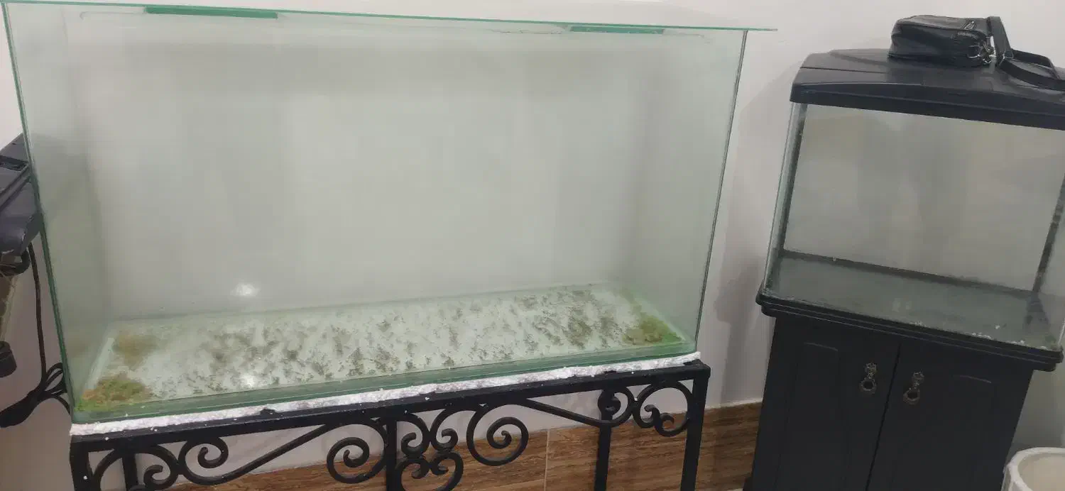 اکواریوم شیشه خم|ماهی|خرمشهر, |دیوار