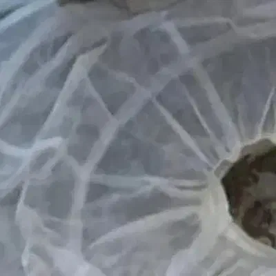 لباس عقد|لباس|تهران, نصرت|دیوار