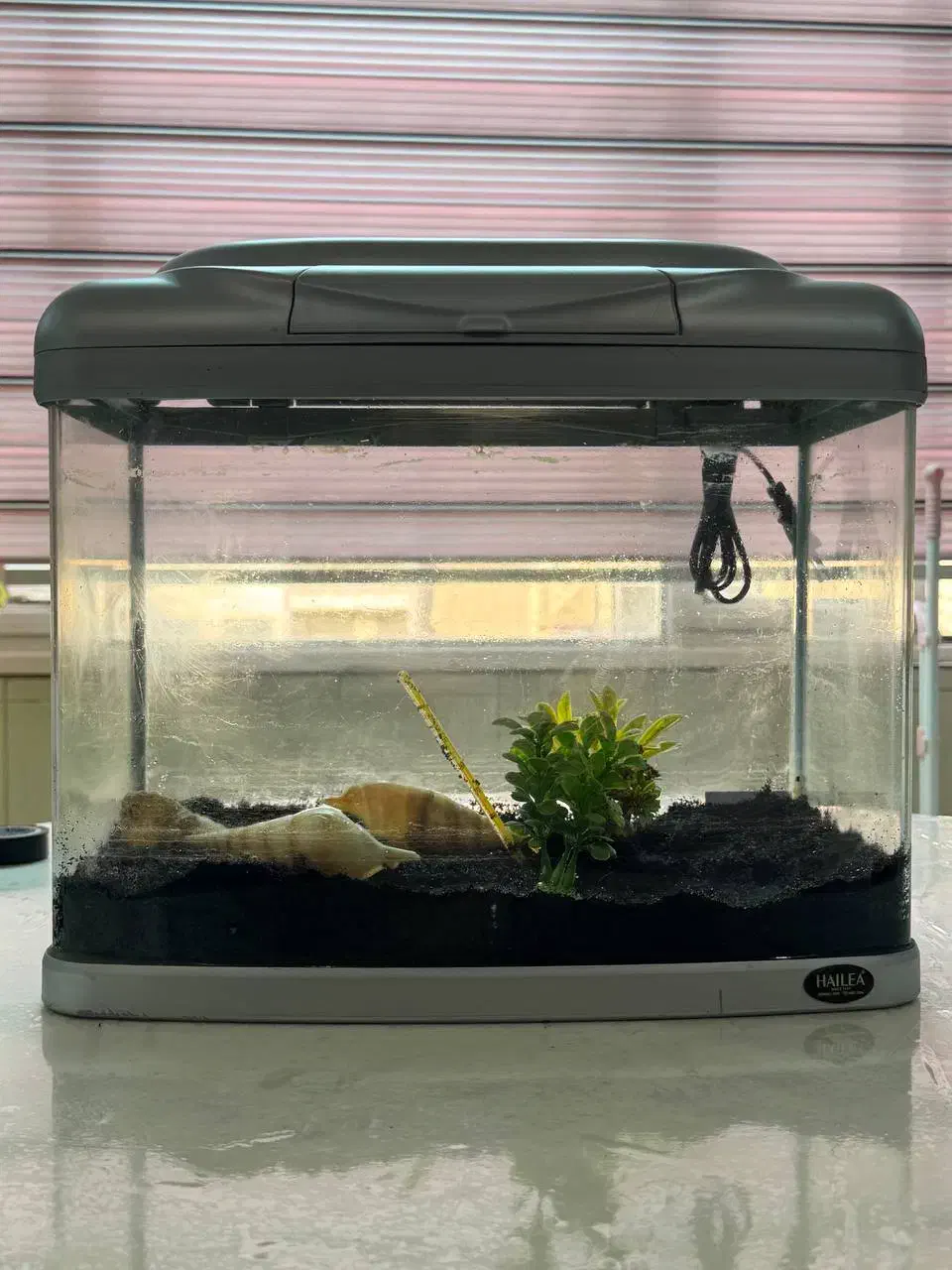 آکواریوم شیشه خم شرکتی HAILEA همراه تمامی متعلقات|ماهی|ورامین, شهرک فجر|دیوار