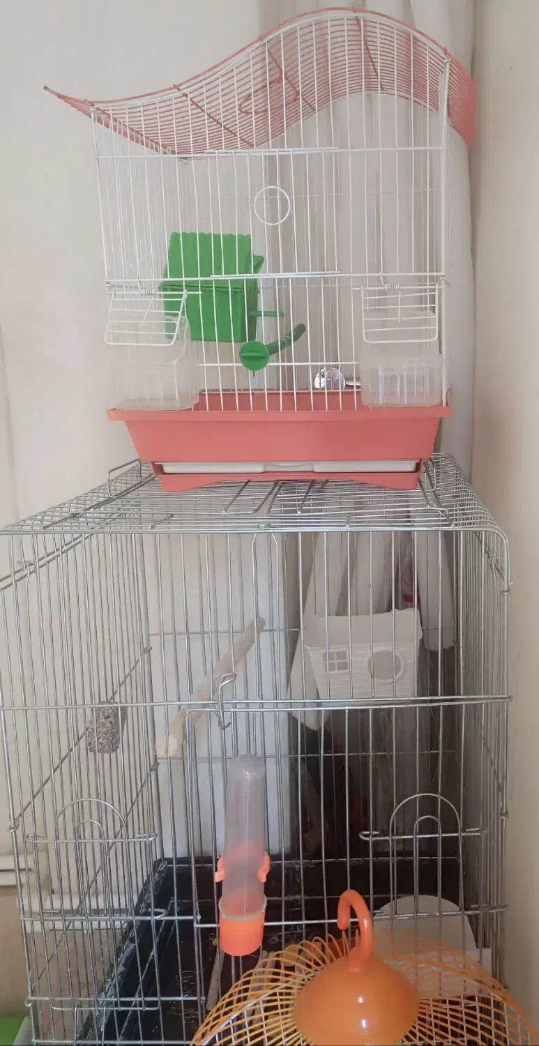 قفس پرنده|لوازم جانبی حیوانات|سنندج, |دیوار