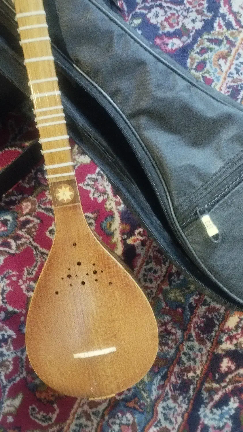 سه تار تک مهر ذوالقدر|سازهای سنتی|زنجان, |دیوار