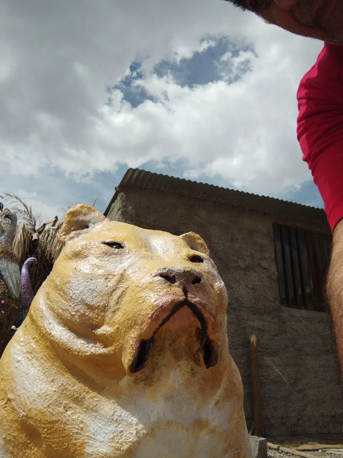 مجسمه|مجسمه، تندیس، ماکت|کرمان, |دیوار