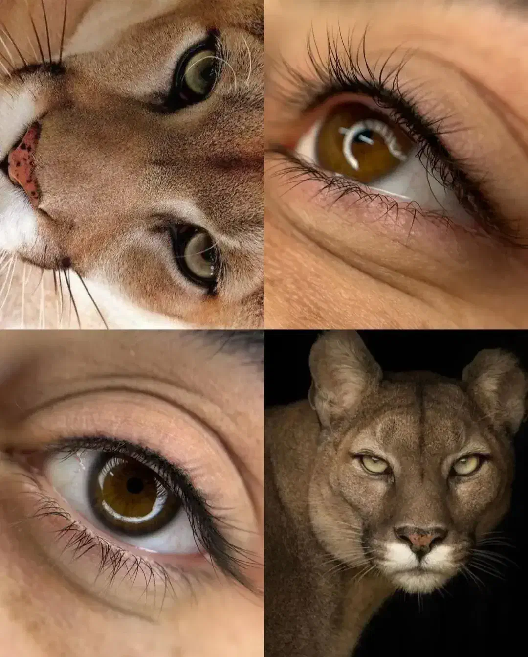 30٪تخفیف ویژه ارایش دائم فقط برای 10 نفر|خدمات آرایشگری و زیبایی|شاهرود, |دیوار