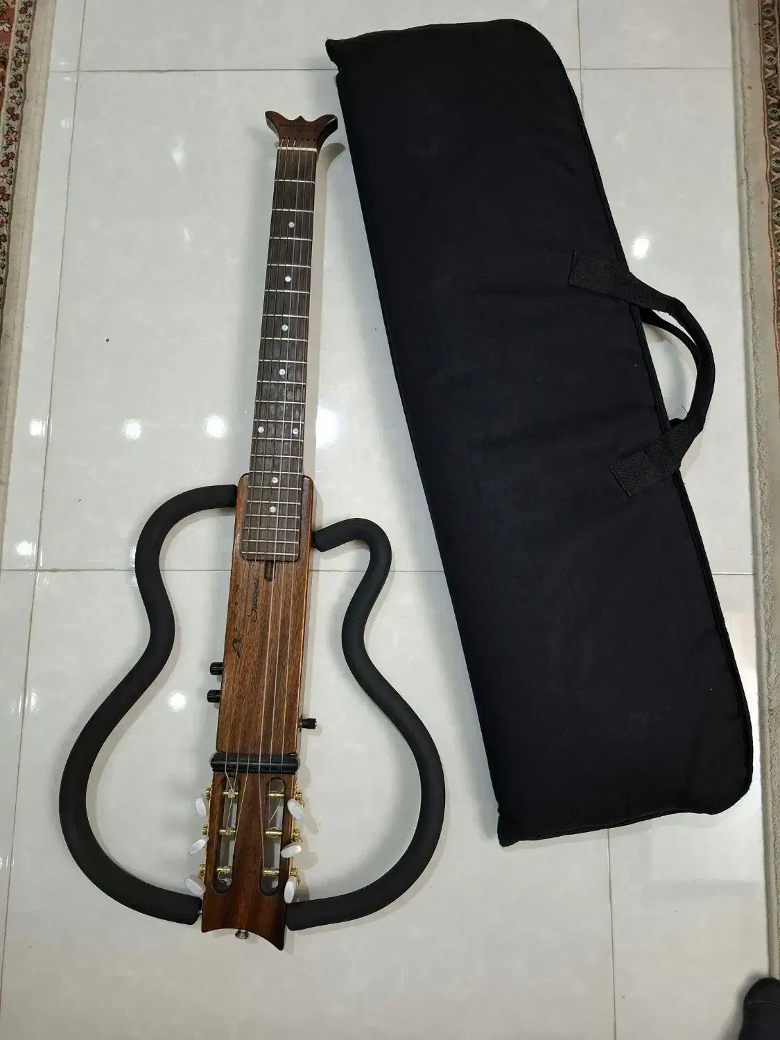 گیتار کلاسیک  الکتریک سایلنت آریا آمریکا|گیتار، بیس، امپلیفایر|رشت, کاکتوس|دیوار