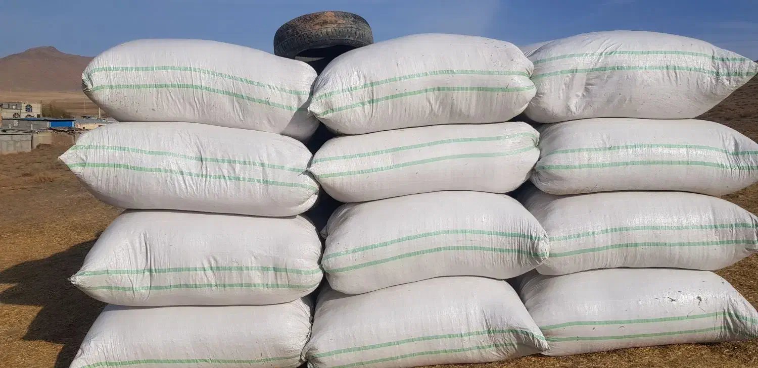 کاه گندم بسته بندی شده در گونی|لوازم جانبی حیوانات|نمین, |دیوار