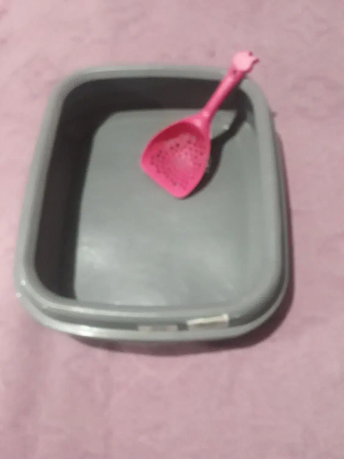 ظرف خاک گربه با بیلچه نو نو|گربه|تهران, سازمان برنامه جنوبی|دیوار