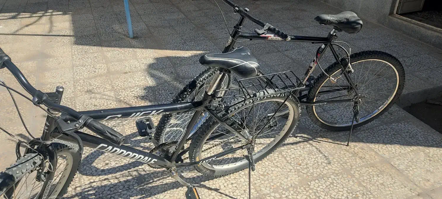 دوچرخه آساک|دوچرخه، اسکیت، اسکوتر|خاش, |دیوار