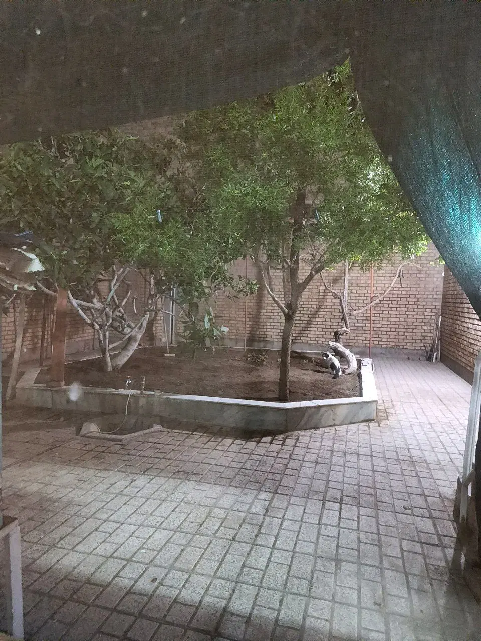 تصویر 4