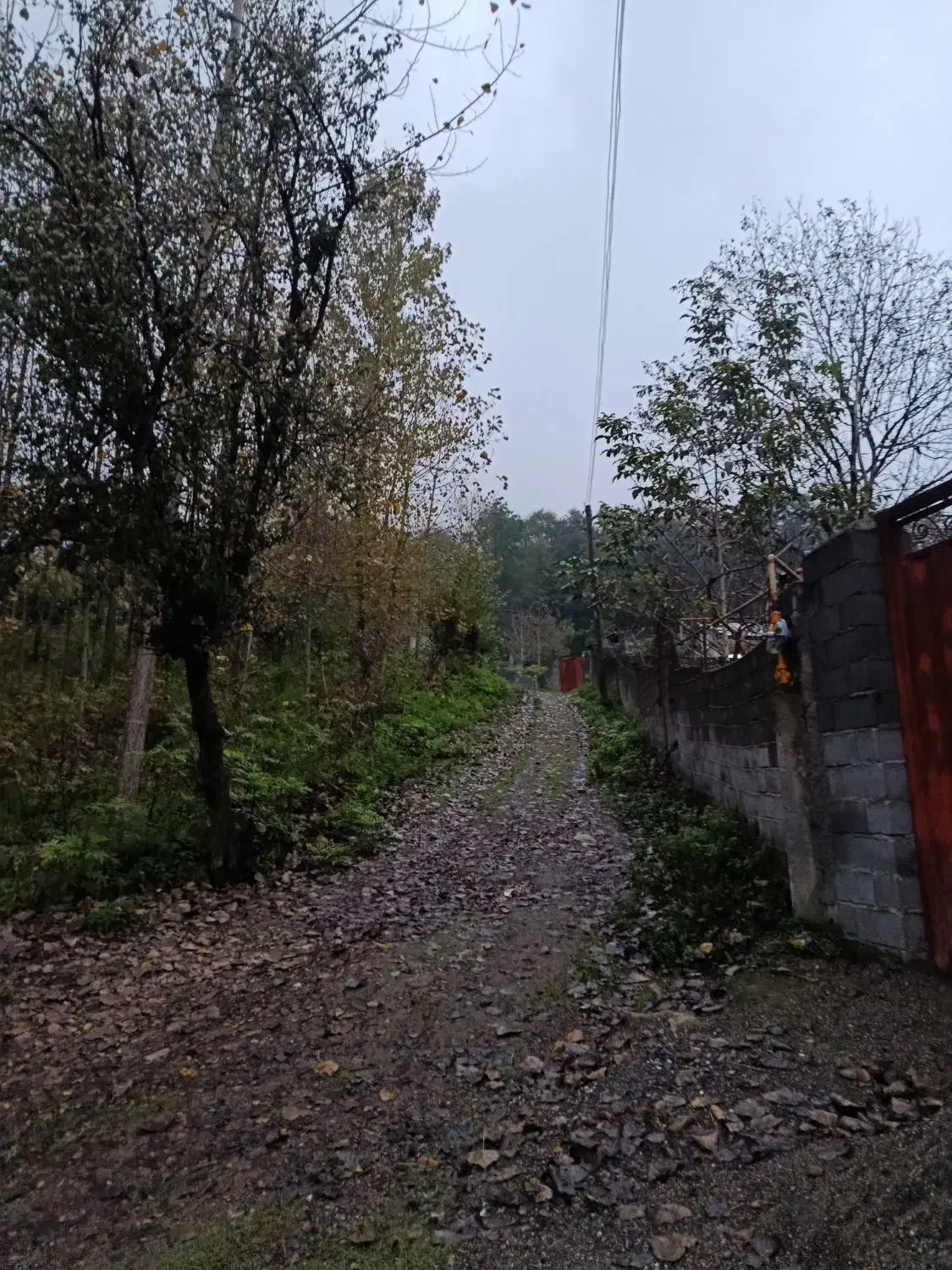 زمین مسکونی تو لفور چسبیده به جنگل هیرکانی|فروش زمین و ملک کلنگی|آلاشت, |دیوار